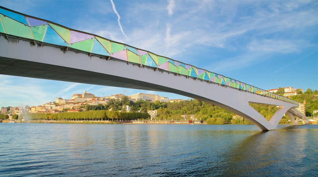 Pedro and Ines Footbridge featuring a city, a bridge and a river or creek