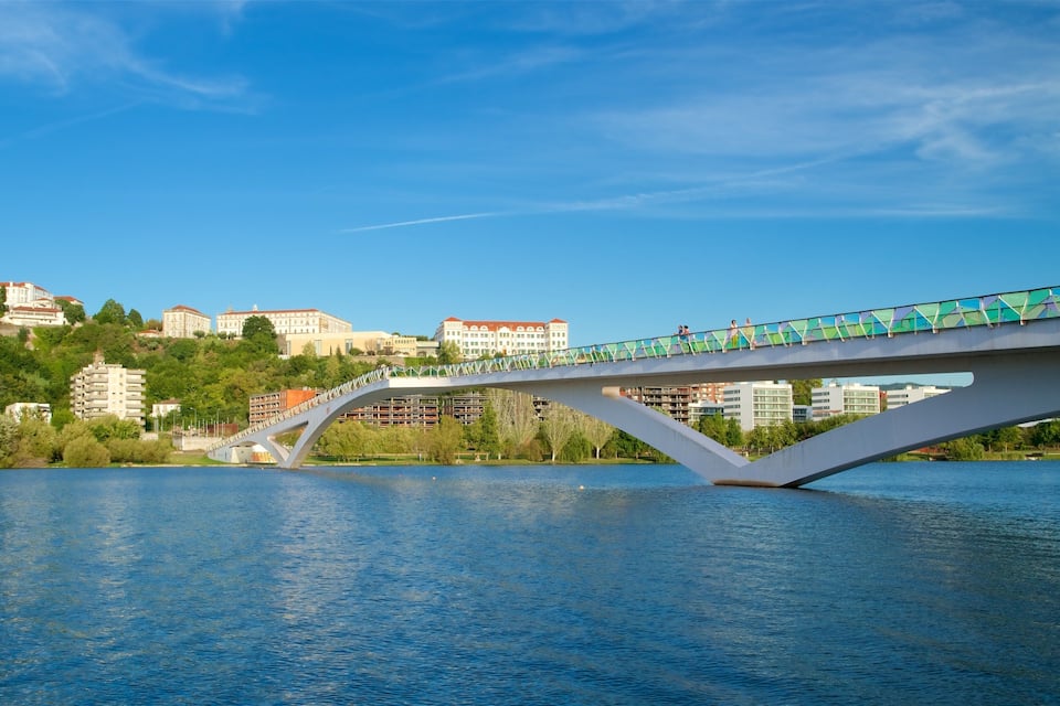 A modern bridge over a river with buildings and greenery in the background.