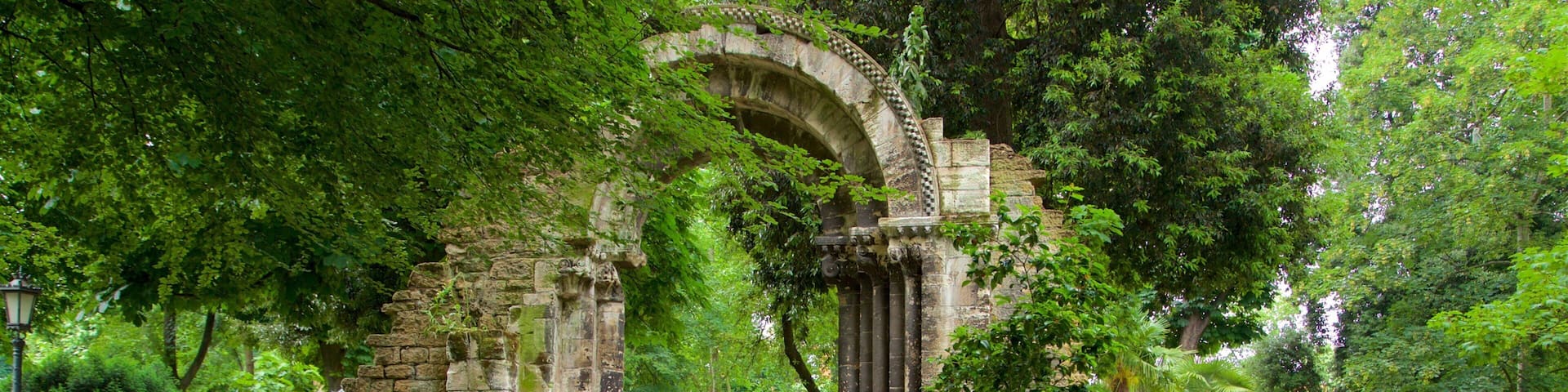 Campo de San Francisco welches beinhaltet Park
