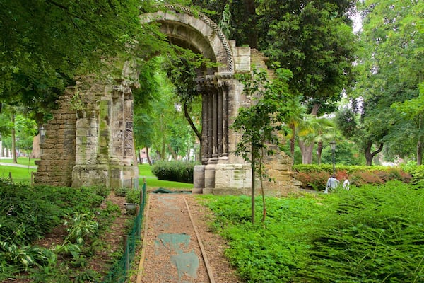 Campo de San Francisco featuring a park