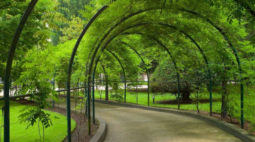 Campo de San Francisco toont een tuin