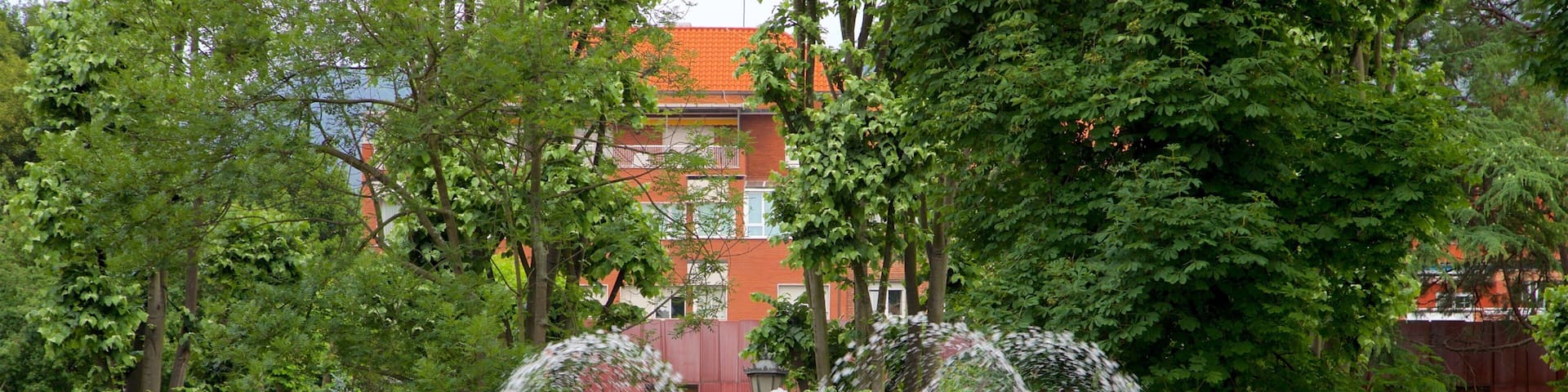 Campo de San Francisco showing a fountain and a park