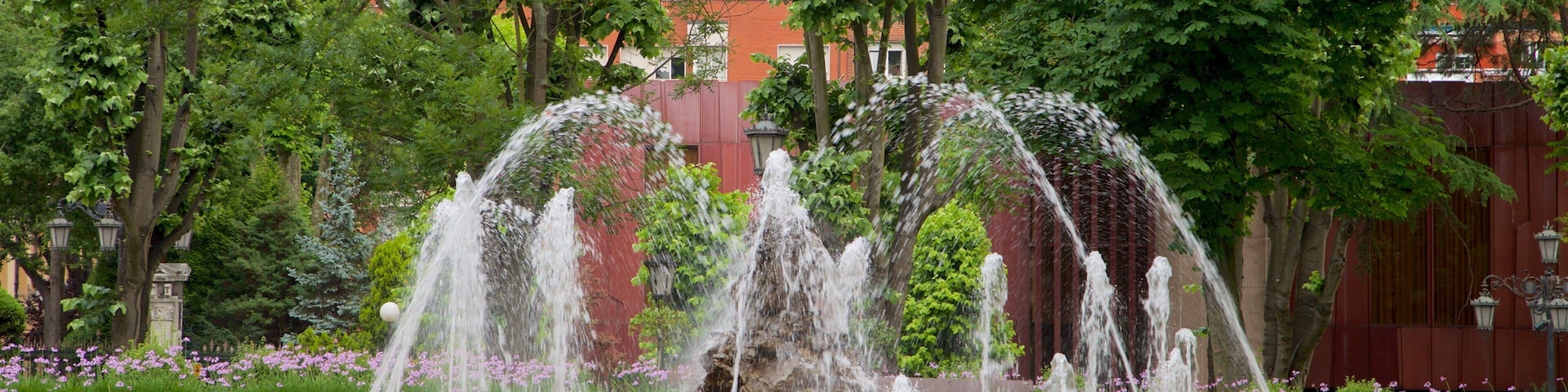 Parc Campo de San Francisco mettant en vedette fontaine et parc