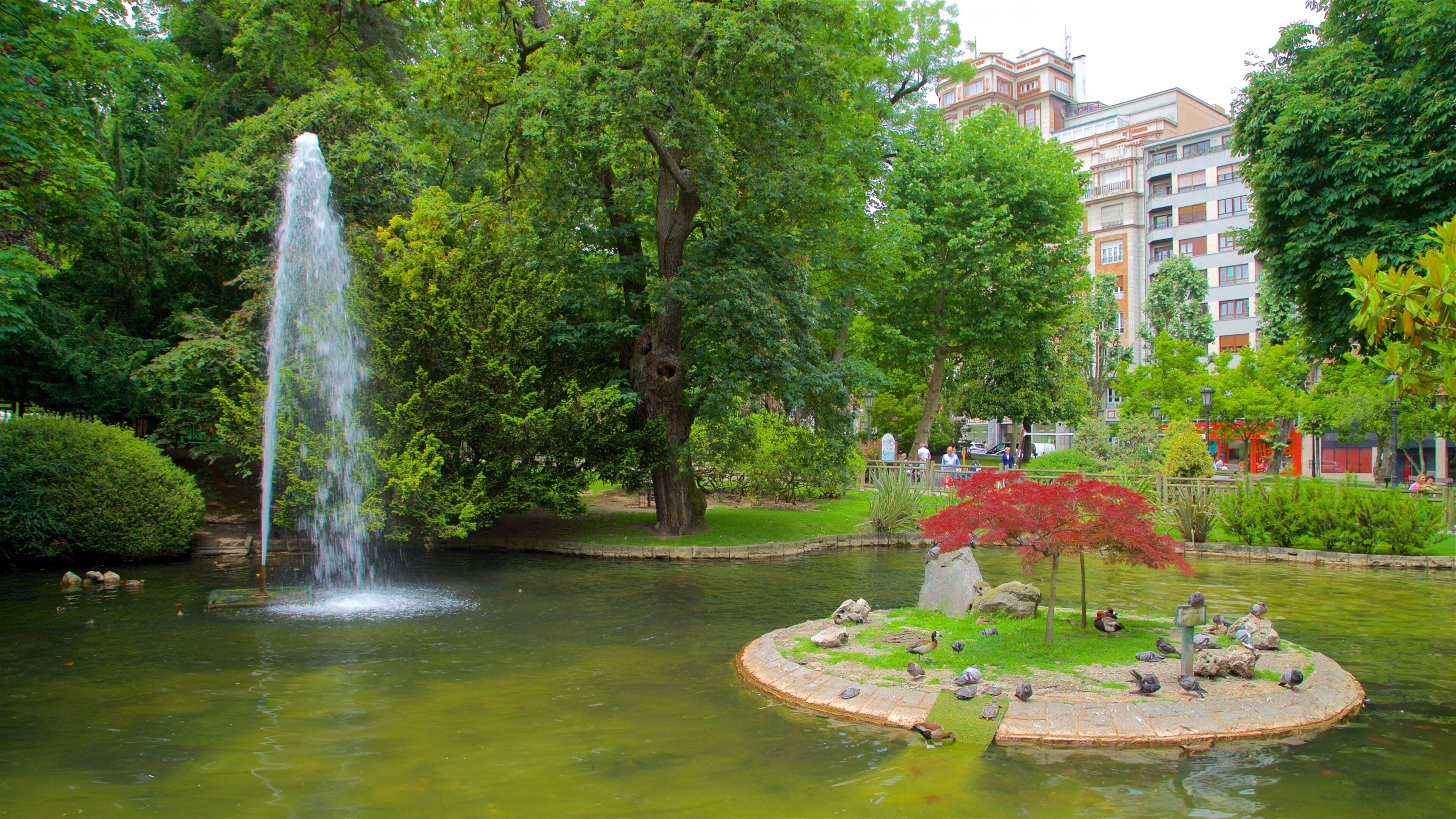 Campo de San Francisco which includes a pond, a fountain and a garden