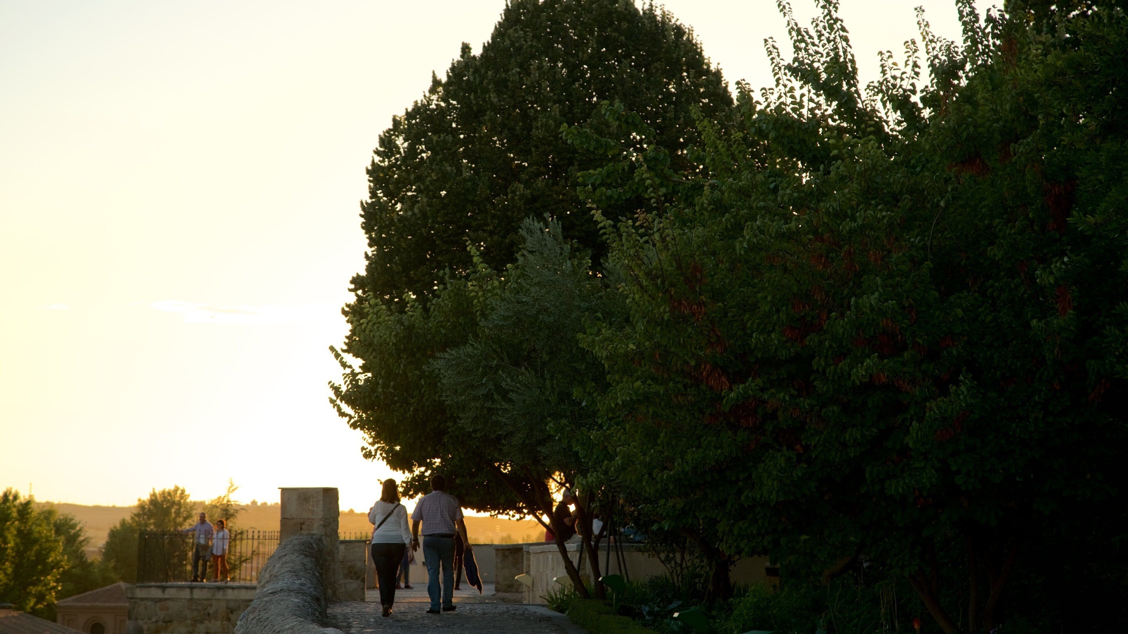 Garden of Calisto and Melibea showing a sunset and views as well as a couple