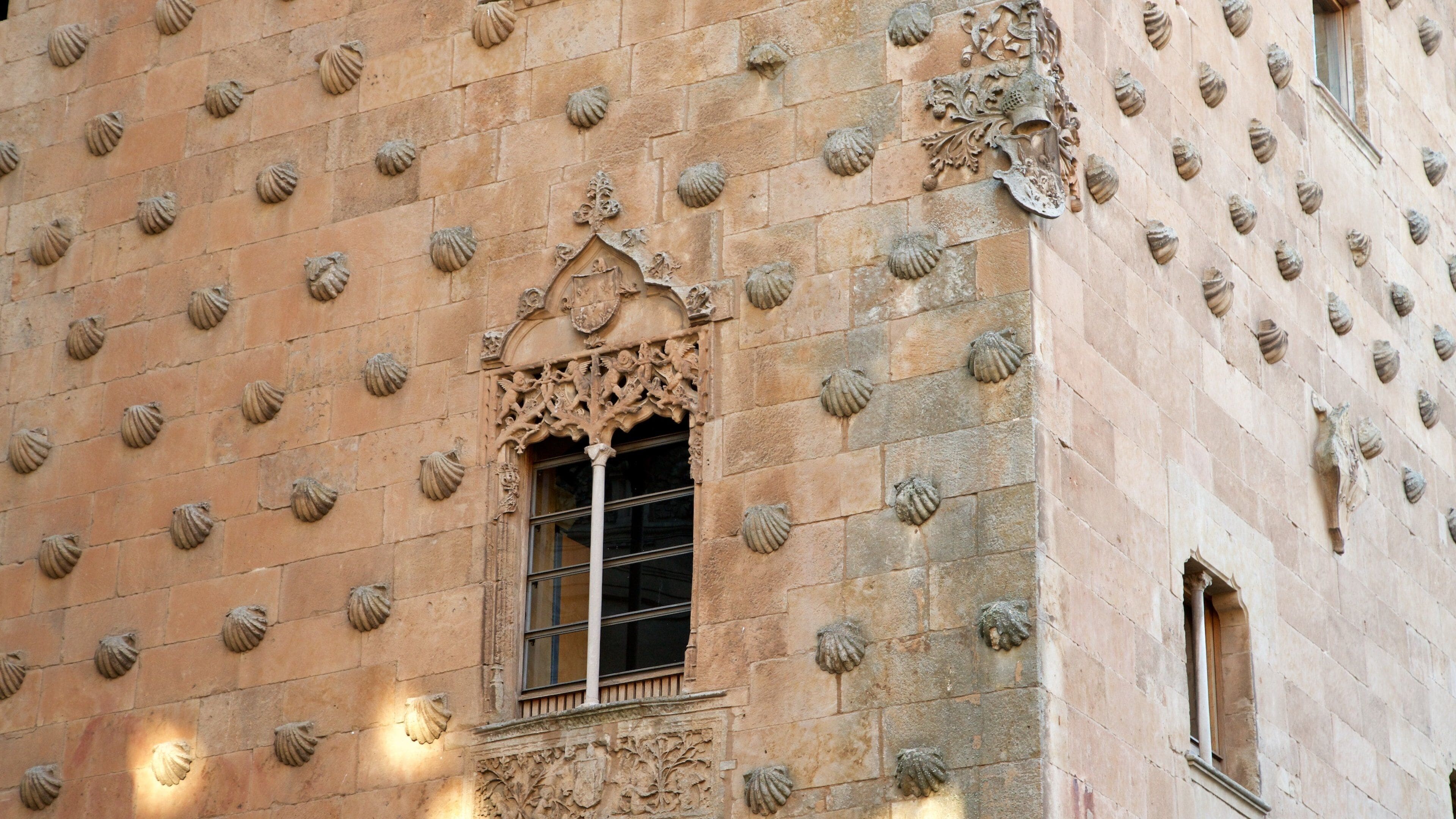 Casa de las Conchas showing heritage elements