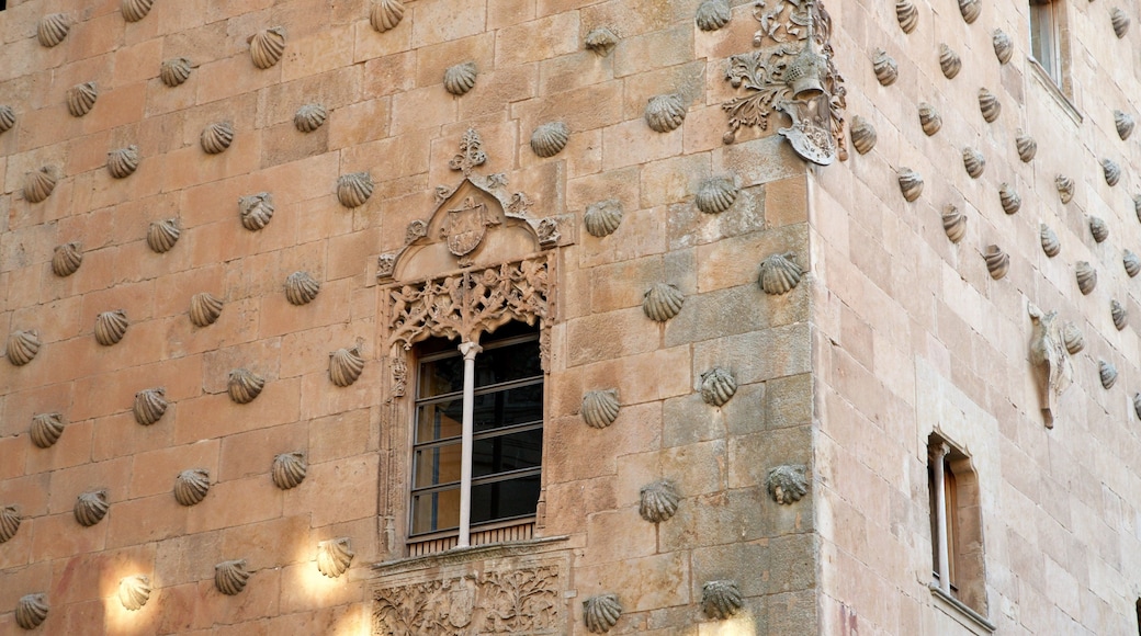 Casa de las Conchas showing heritage elements