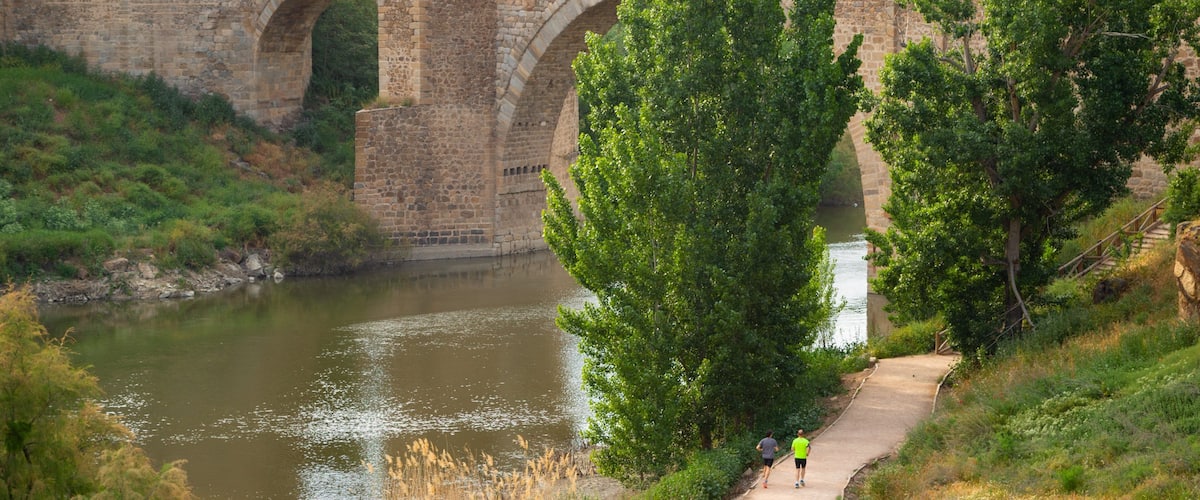Puente de Alcantara featuring heritage elements, a river or creek and a bridge