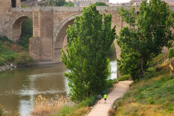 Puente de Alcantara featuring heritage elements, a river or creek and a bridge