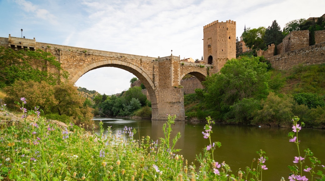 Puente de Alcantara featuring a river or creek, a bridge and heritage elements