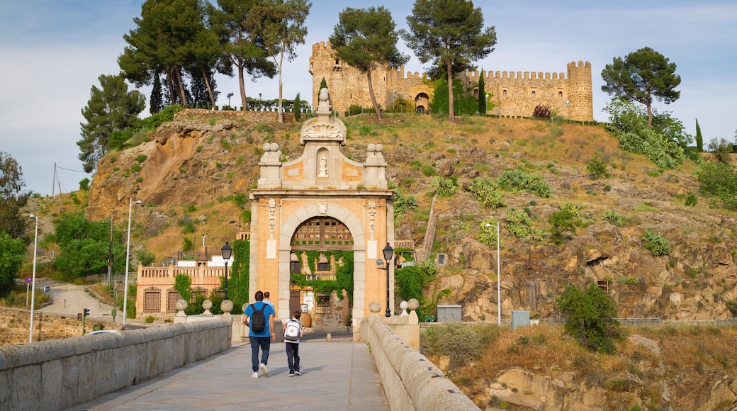 Puente de Alcantara showing a castle, heritage elements and a bridge