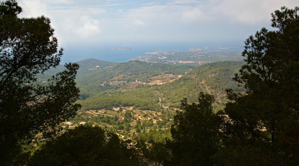 Sa Talaia which includes tranquil scenes and landscape views