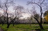 Parc Quinta de los Molinos