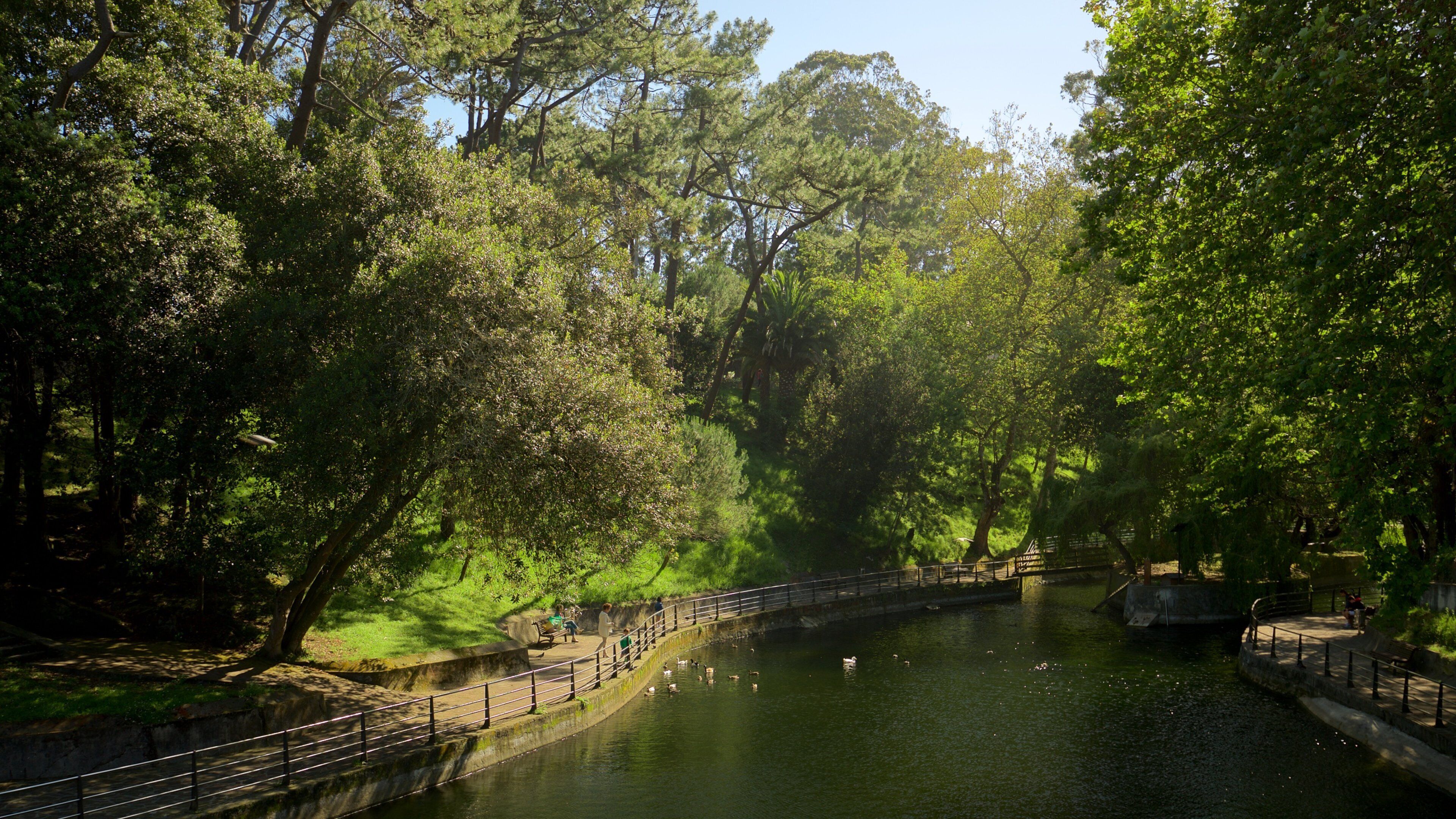Parque de Mataleñas som viser en flod eller et vandløb og en park