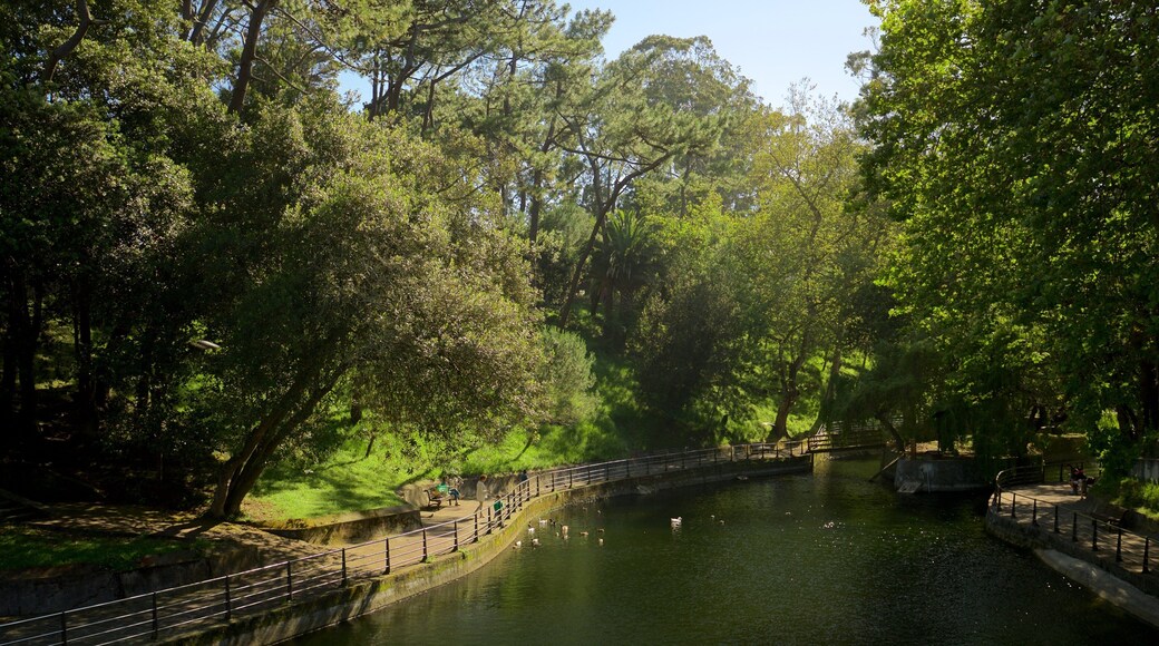 Parque de Mataleñas som viser en flod eller et vandløb og en park