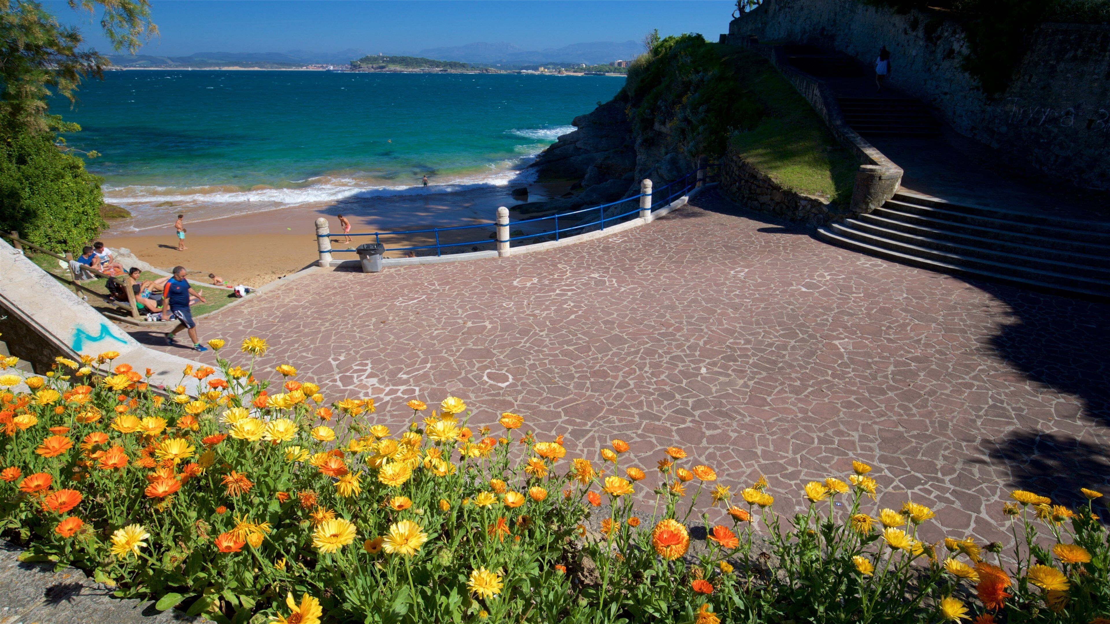Parque de Matalenas showing general coastal views and wild flowers
