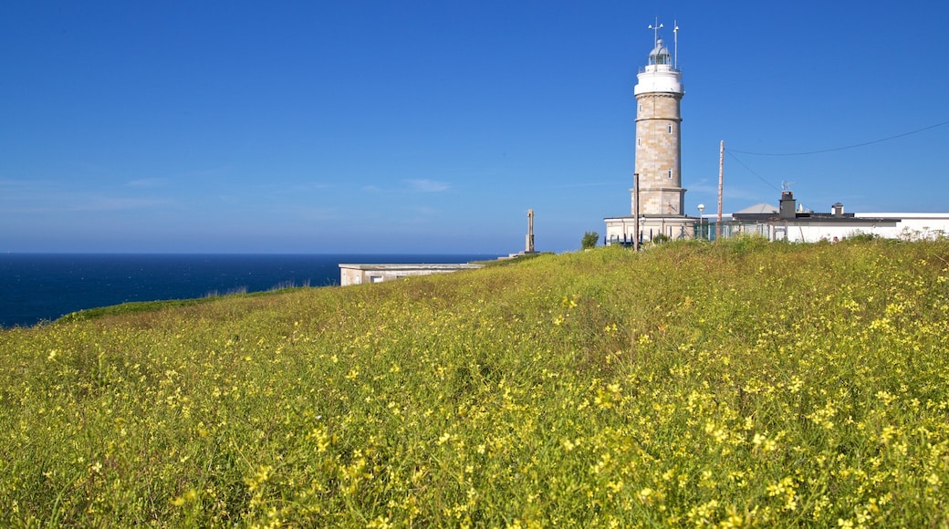 馬約爾角燈塔 呈现出 一般的海岸景觀, 野花 和 燈塔
