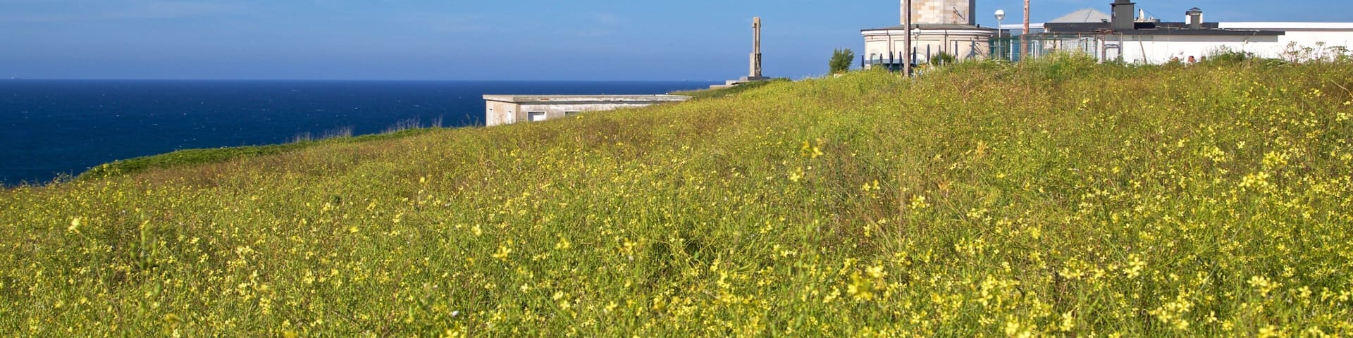 Cabo Mayor Lighthouse featuring general coastal views, wildflowers and a lighthouse