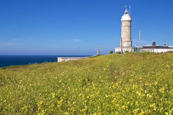 Phare Faro de Cabo Mayor mettant en vedette fleurs sauvages, vues littorales et phare