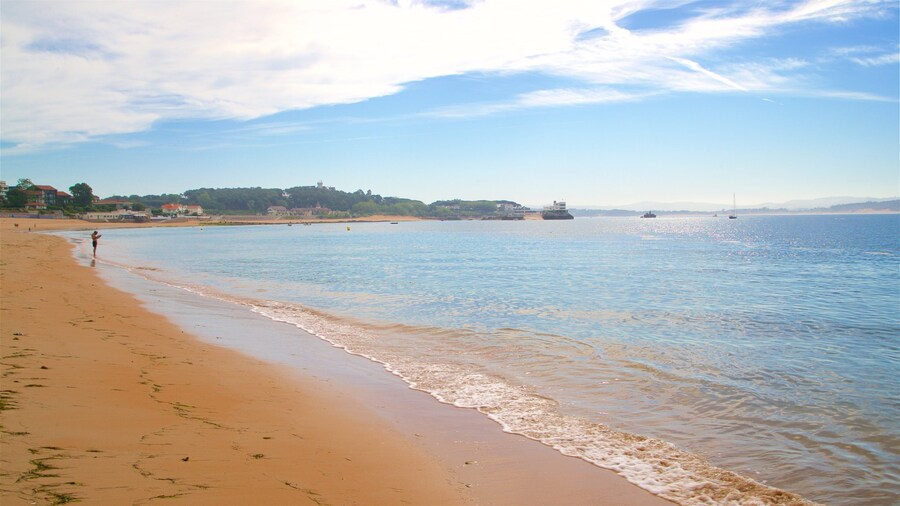 Plage de Magdalena mettant en vedette plage et vues littorales