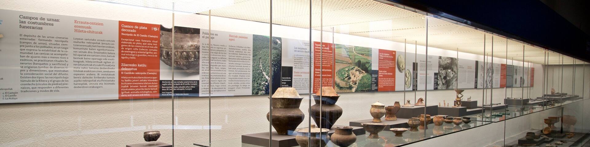 Museum of Navarra which includes heritage elements and interior views