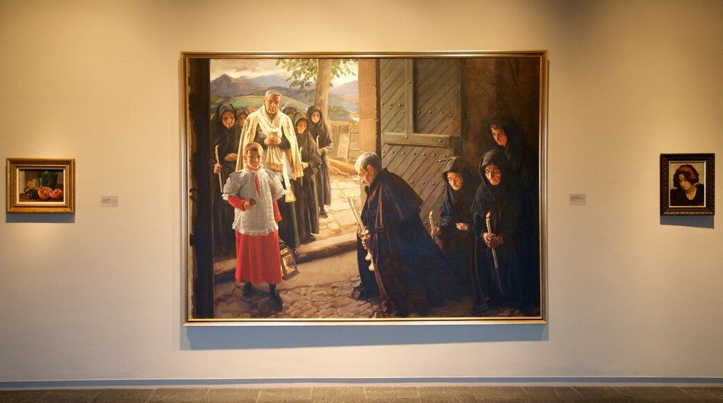 Musée de Navarre montrant art et vues intérieures