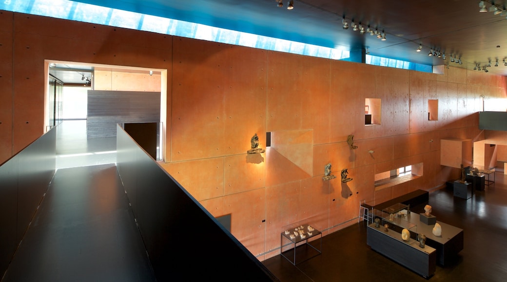 Fundación Museo Jorge Oteiza ofreciendo vistas interiores