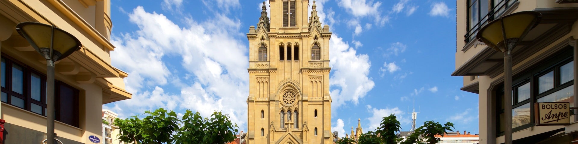 Iglesia de San Ignacio mostrando una iglesia o catedral y arquitectura patrimonial