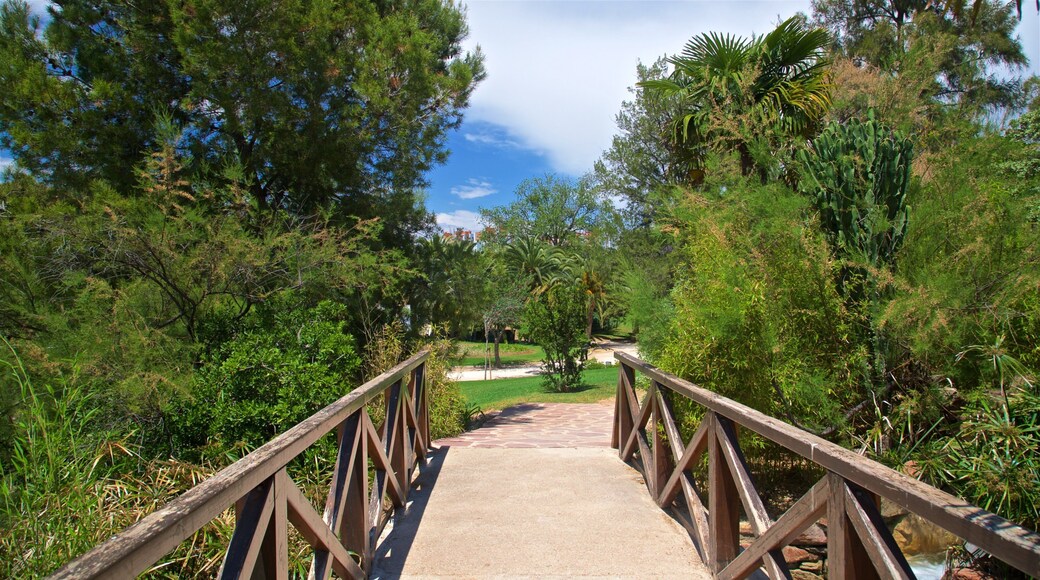 Parc de Benicalap showing a garden