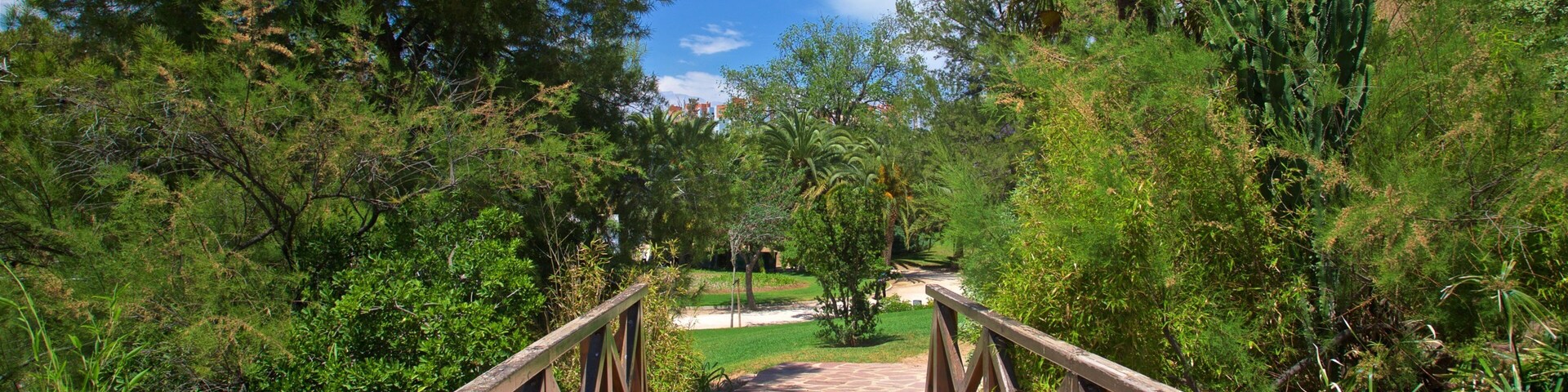 Parc de Benicalap showing a garden