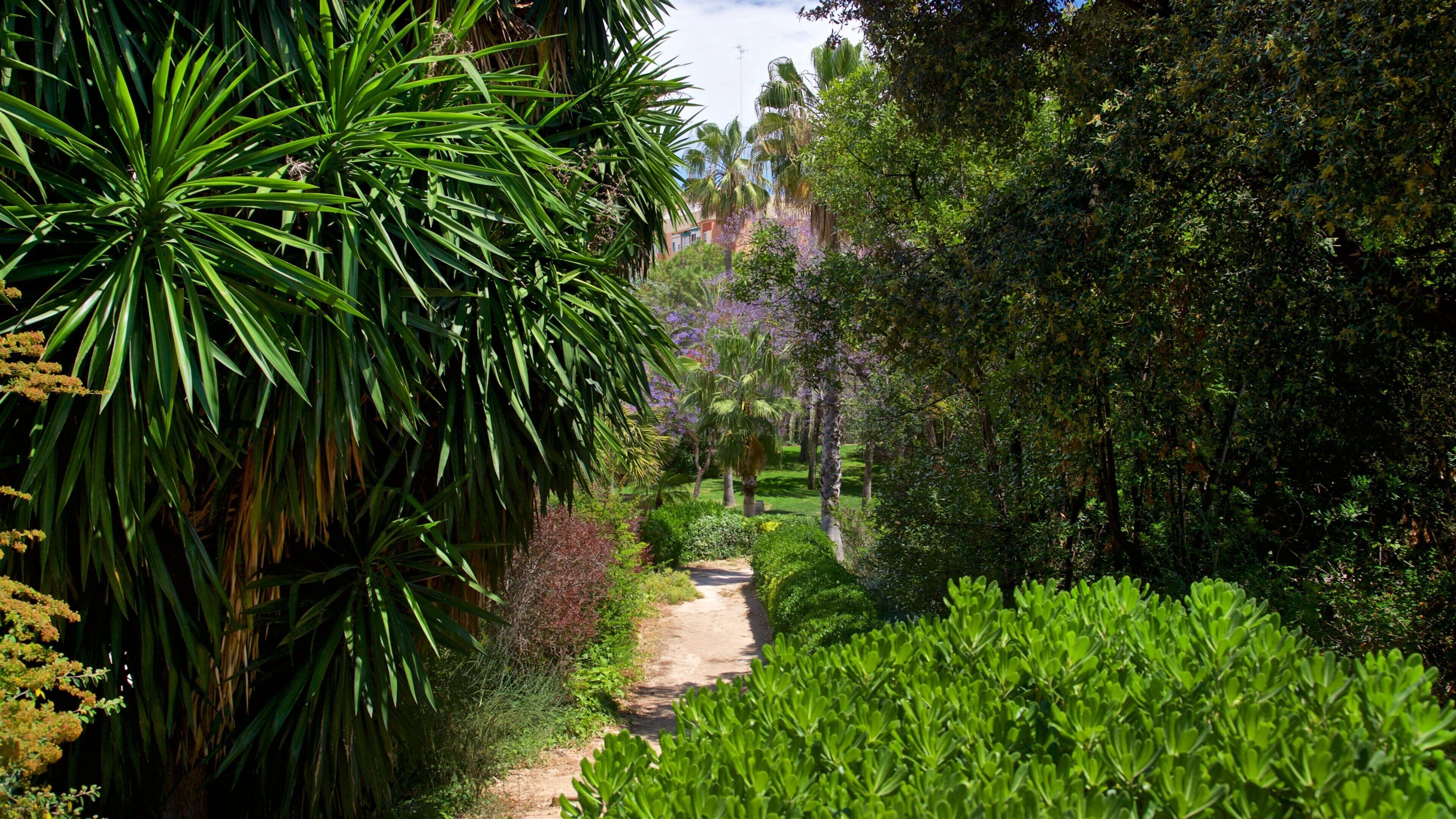 Parc de Benicalap featuring a garden