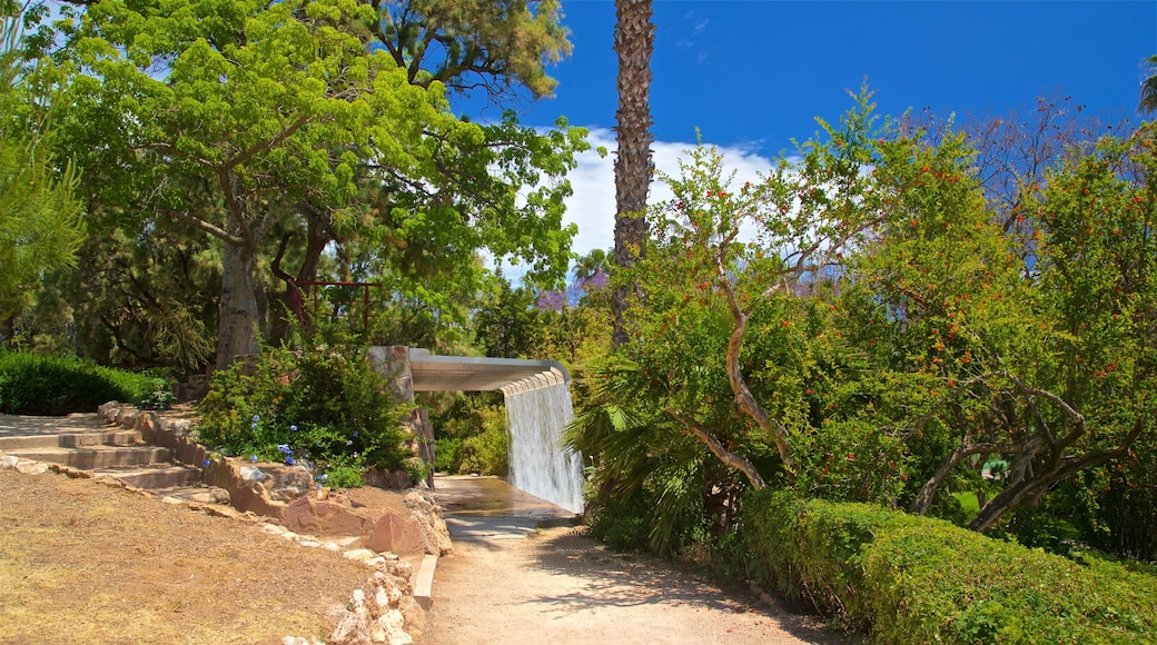Parc de Benicalap which includes a garden