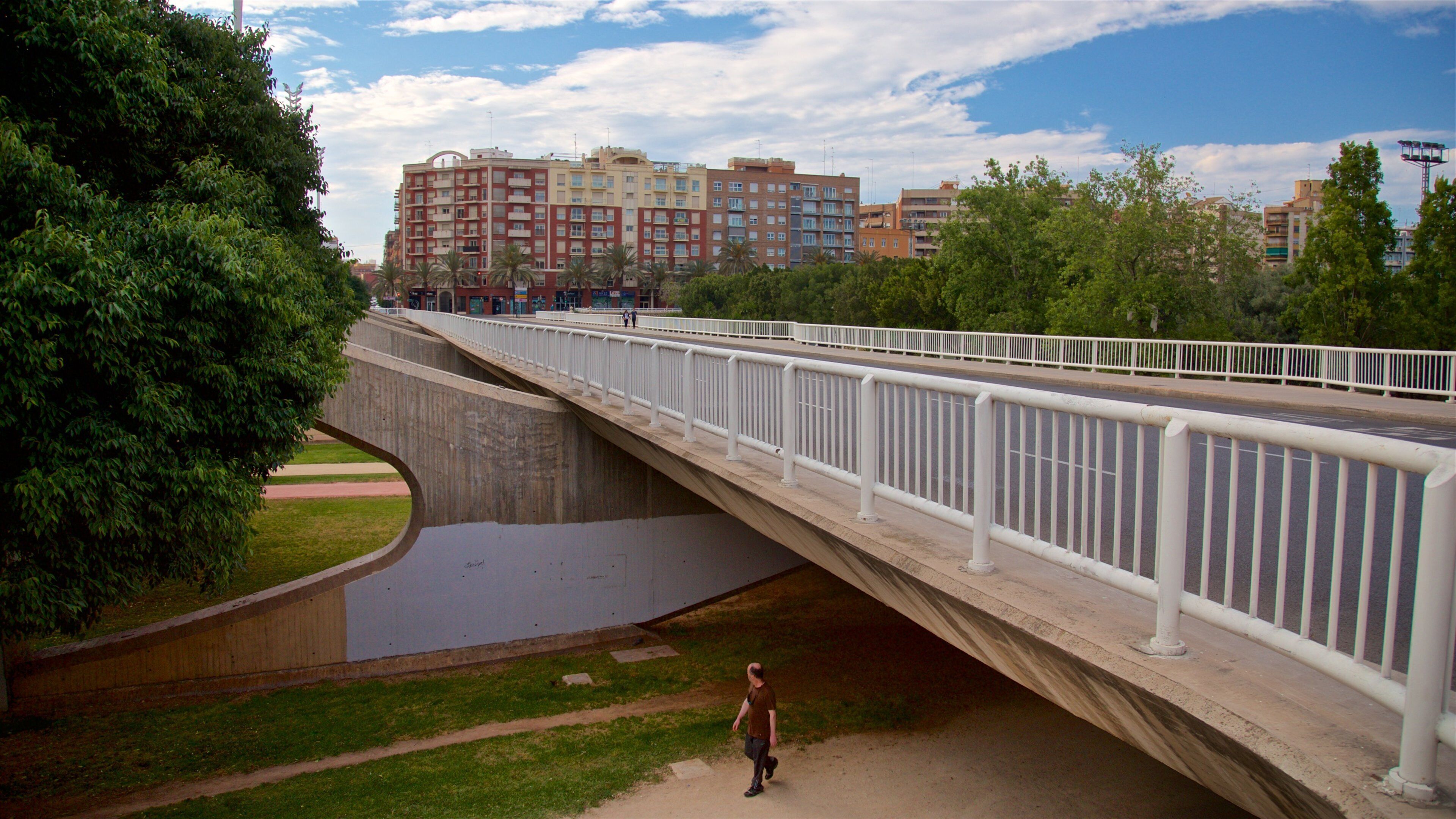 Puente de las Artes featuring a bridge