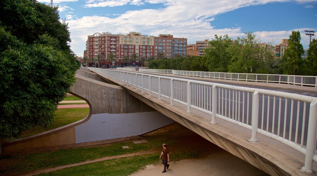 Puente de las Artes featuring a bridge