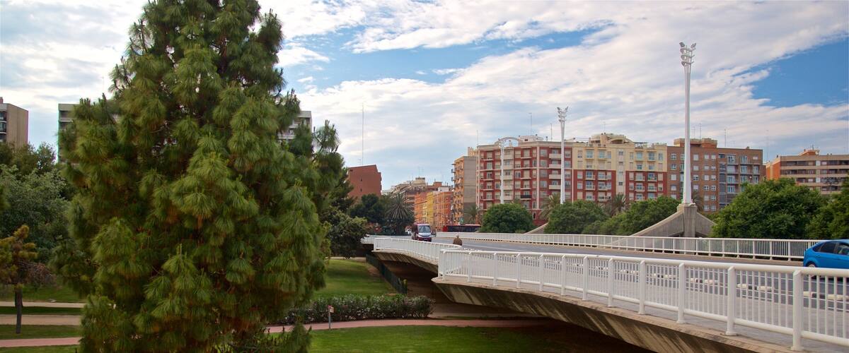 Puente de las Artes showing a bridge and a garden