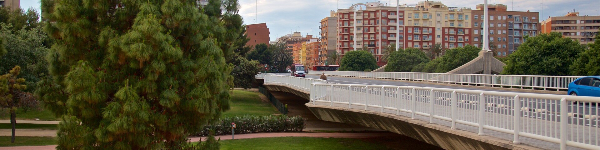 Puente de las Artes showing a bridge and a garden