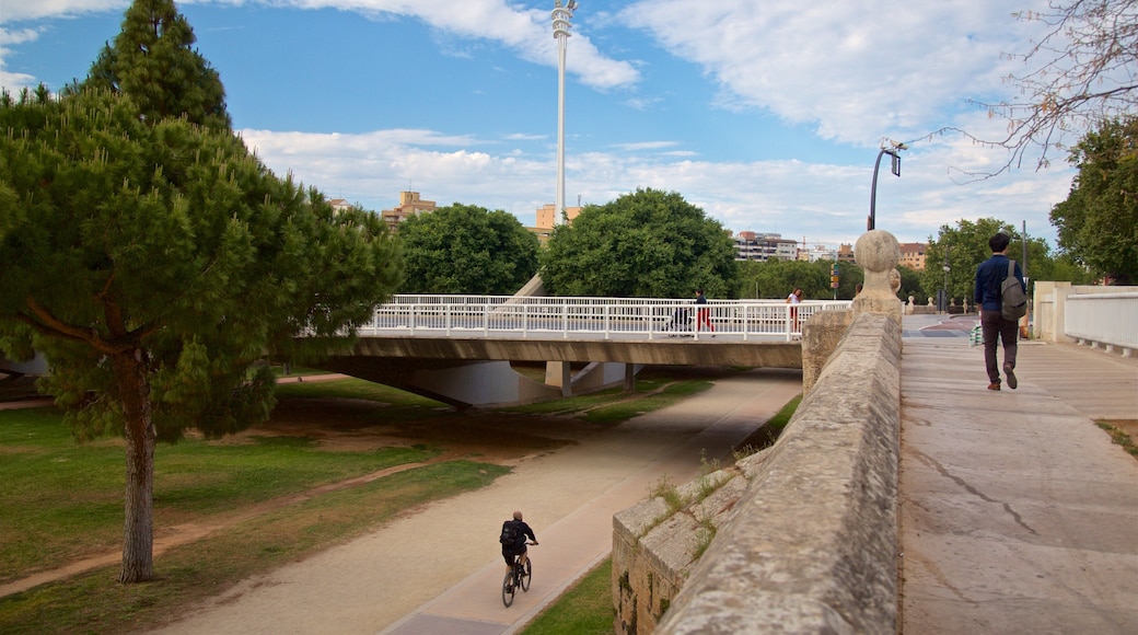 Puente de las Artes showing a park and a bridge