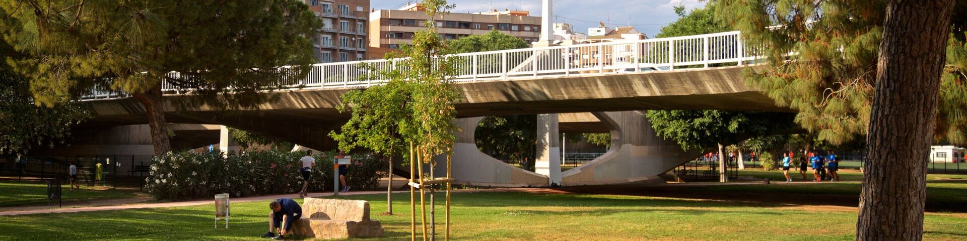 Puente de las Artes which includes a bridge and a garden