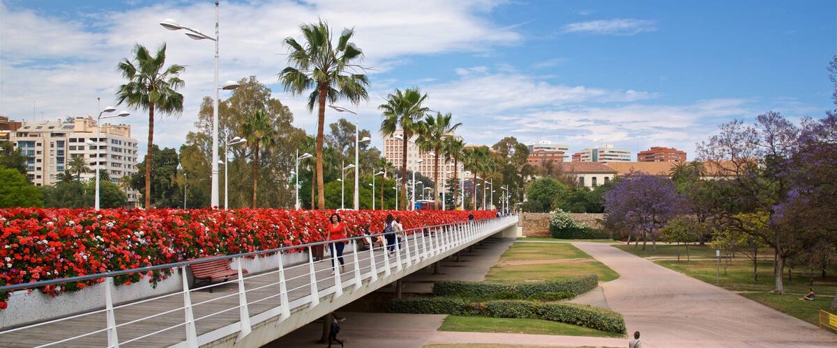 Flower Bridge which includes flowers, a bridge and a garden
