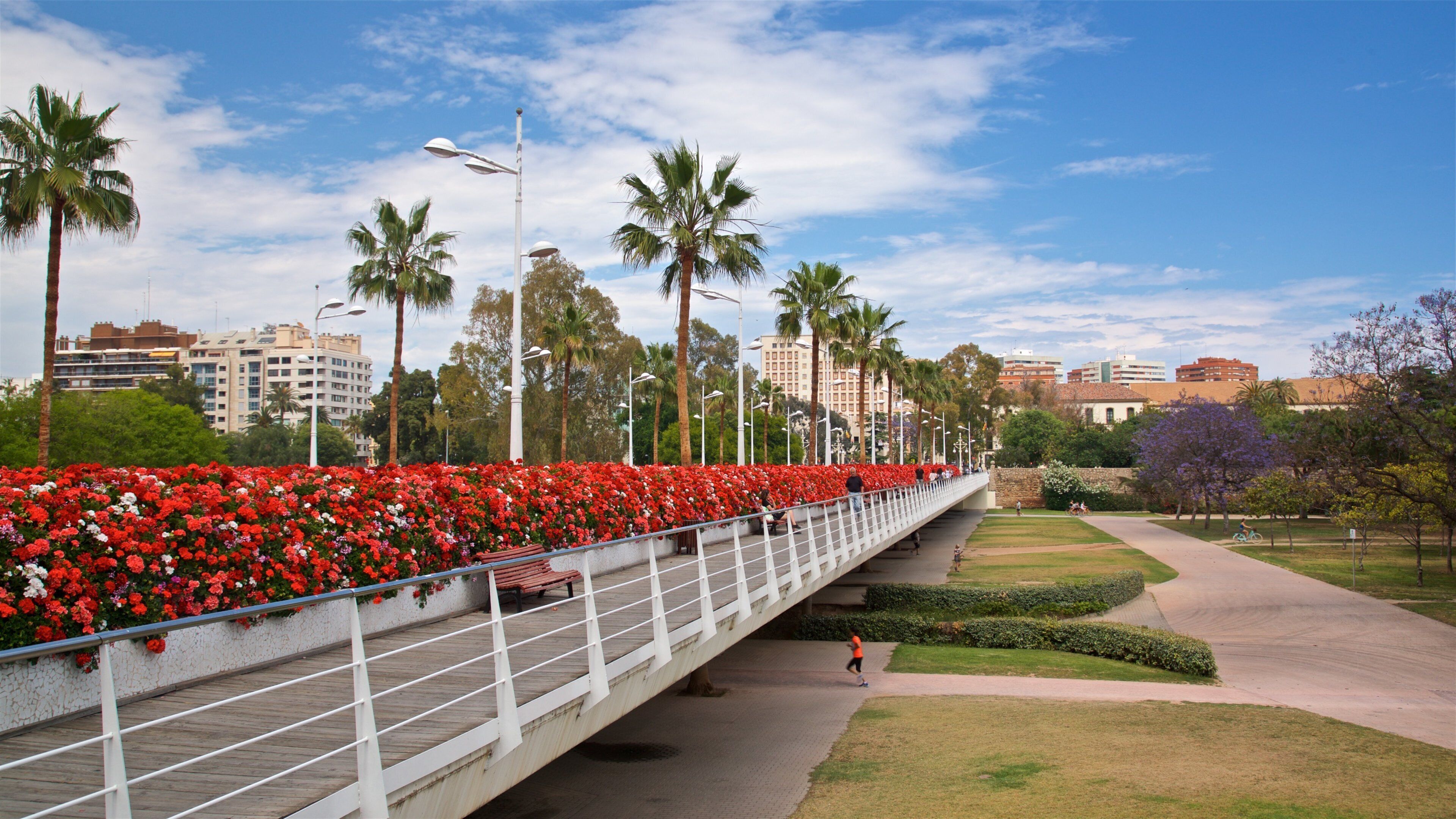 Flower Bridge which includes a bridge, a garden and flowers