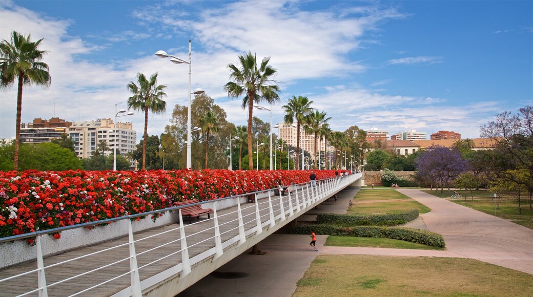 Flower Bridge which includes a bridge, a garden and flowers