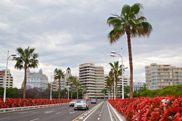 Flower Bridge featuring flowers and a park