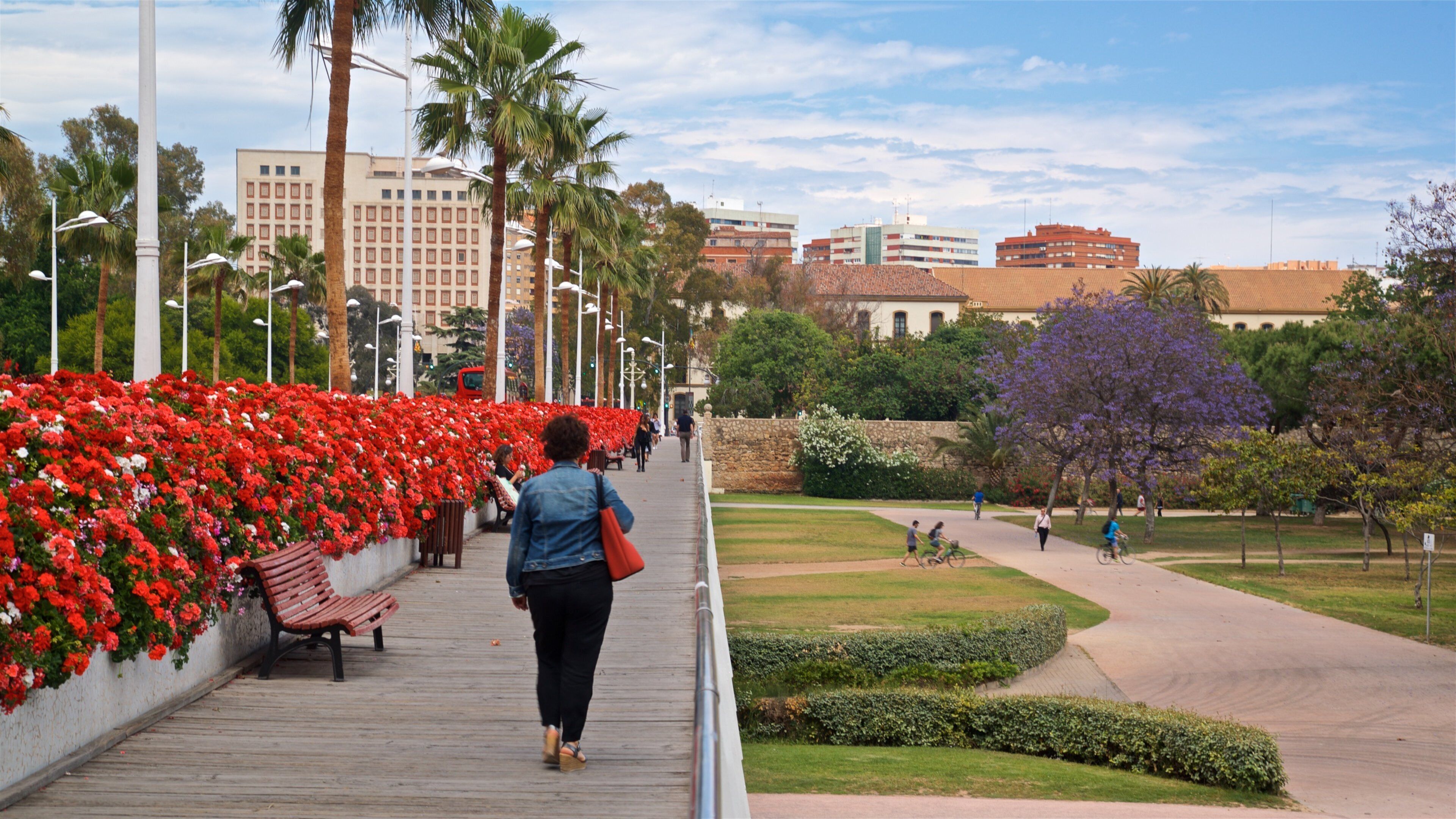 Flower Bridge showing a park, flowers and a bridge