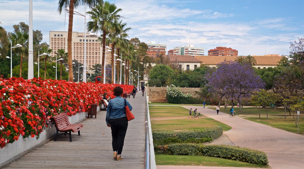 Flower Bridge showing a park, flowers and a bridge