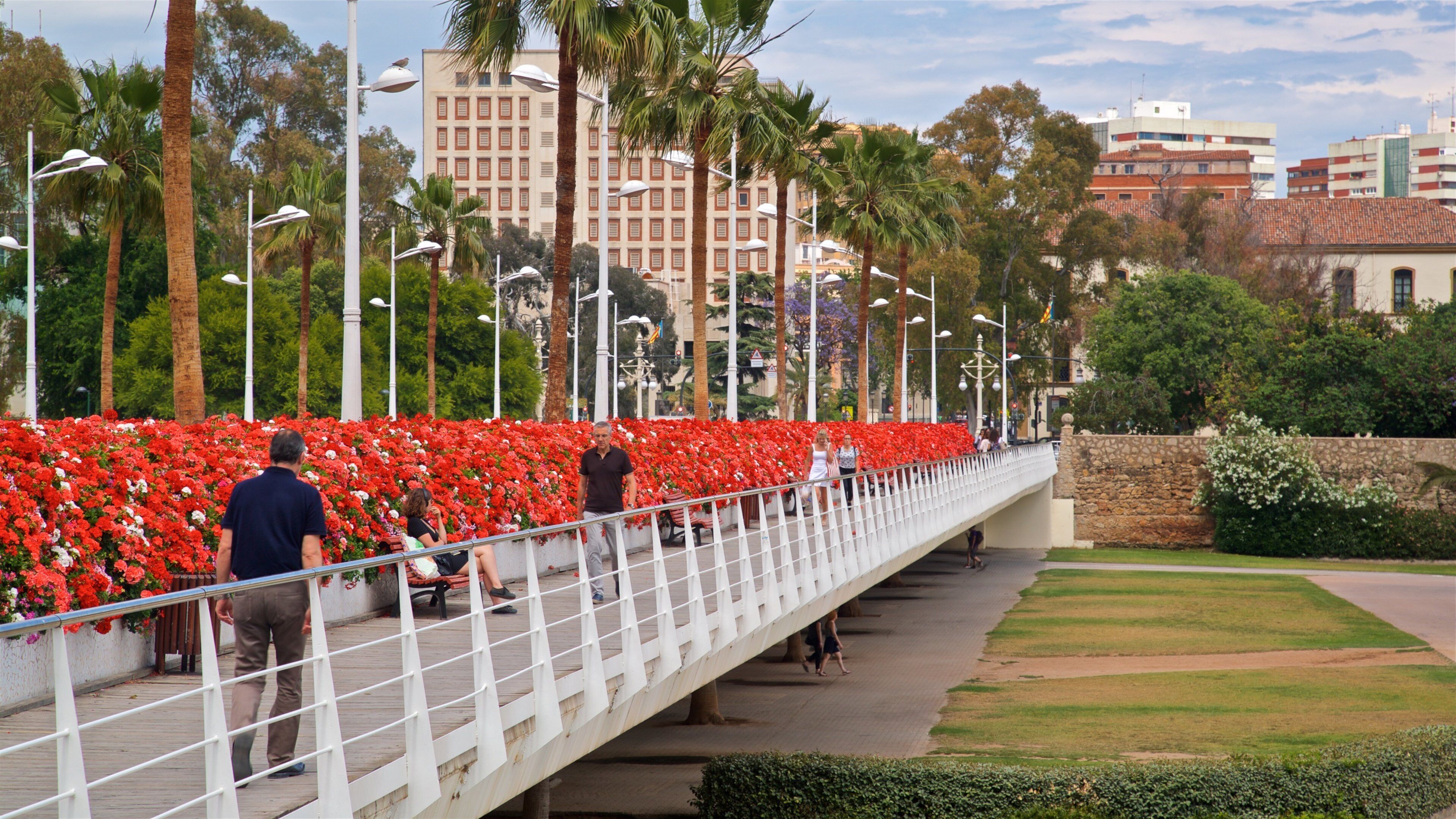 Flower Bridge showing a bridge, a park and flowers