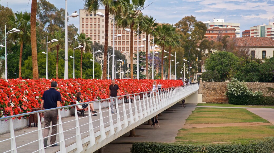 Flower Bridge showing a bridge, a park and flowers