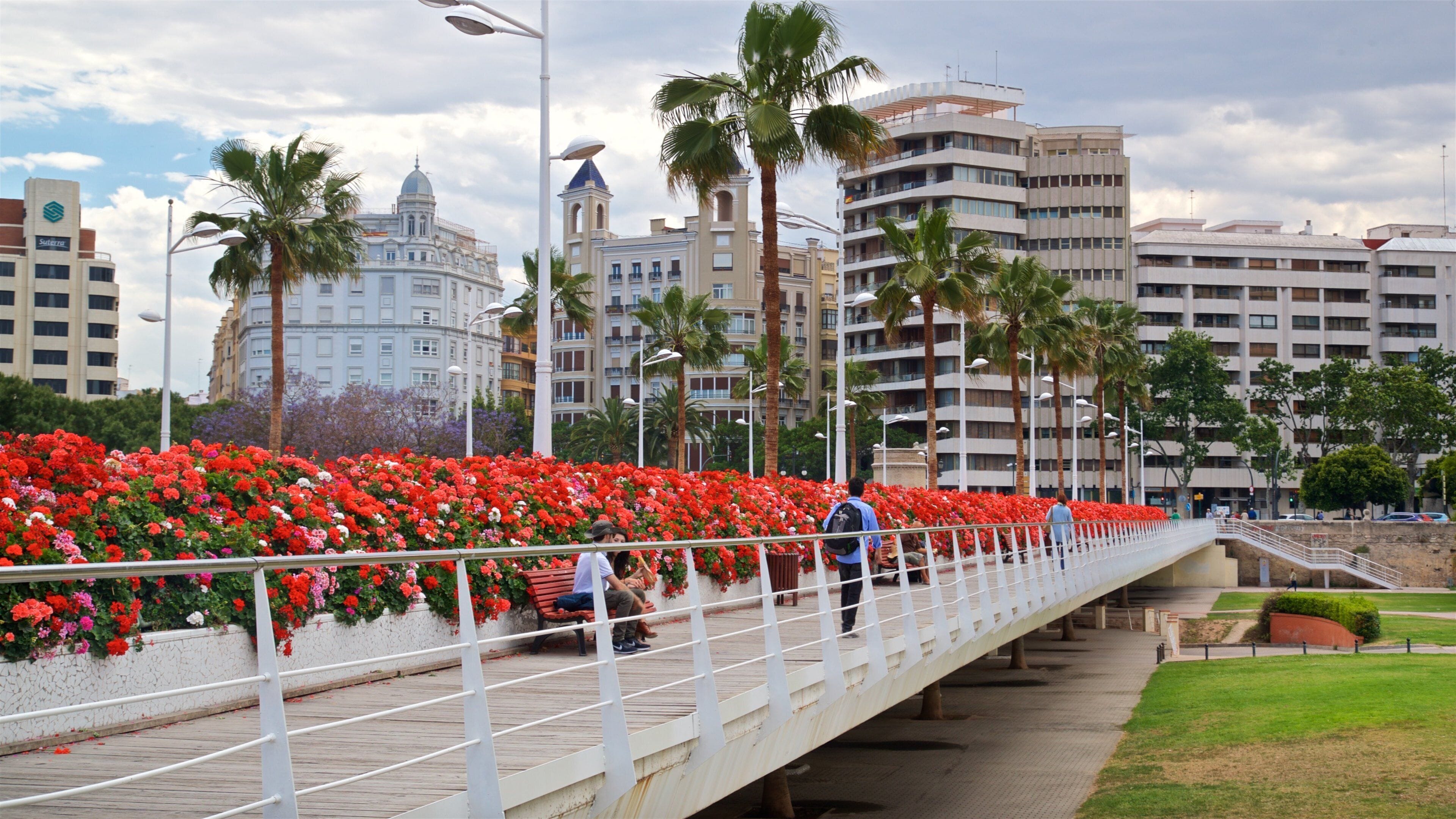 Flower Bridge featuring a garden, a bridge and flowers