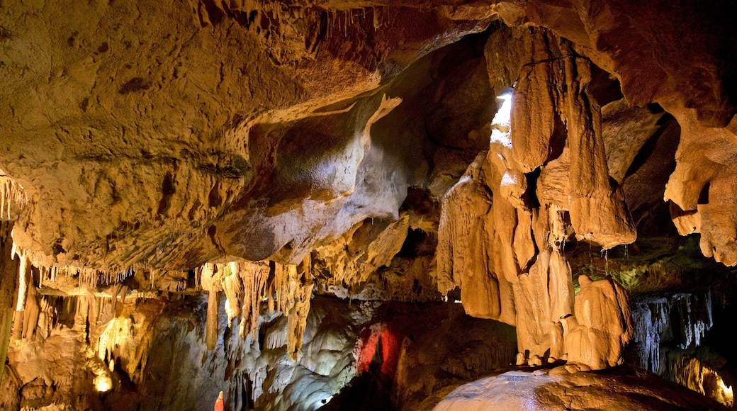 Betharram Caves featuring caves
