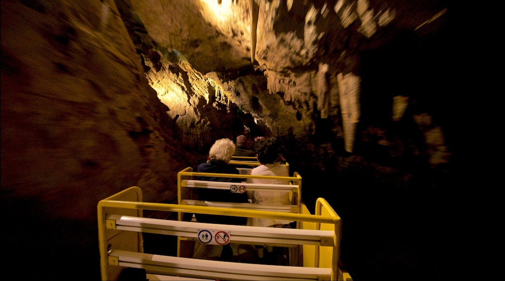 Betharram Caves showing railway items and caves as well as a small group of people