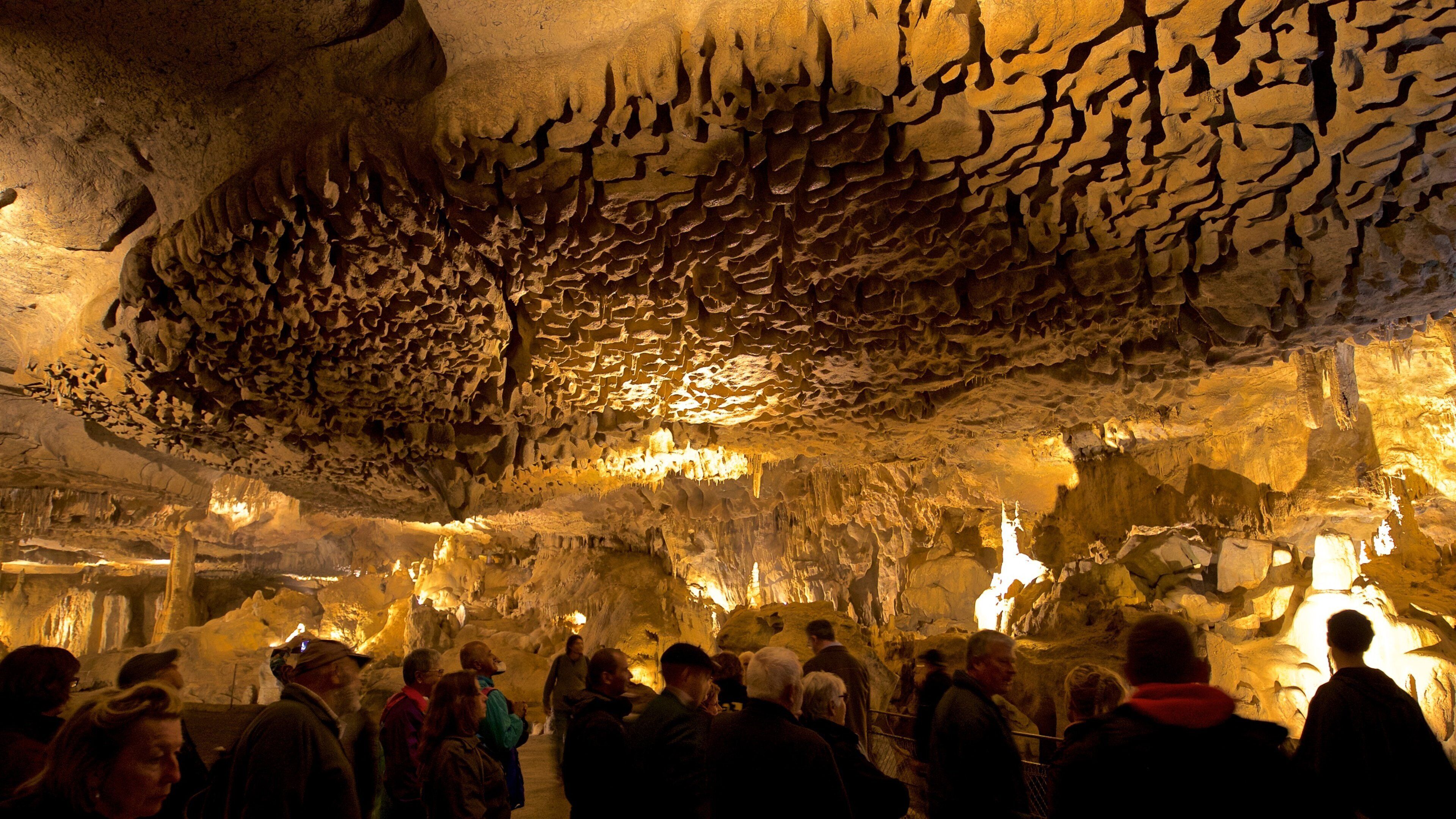 Betharram Caves showing caving and caves as well as a small group of people